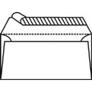 DL Envelope, peel-seal, map inside, pack of 25