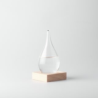 The Small Fitzroy Storm Glass