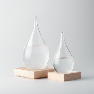 The Small Fitzroy Storm Glass