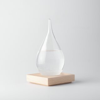 The Large Fitzroy Storm Glass