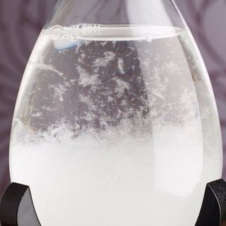 The Large Fitzroy Storm Glass